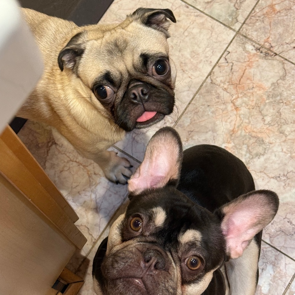 Meet your Posher, Slady